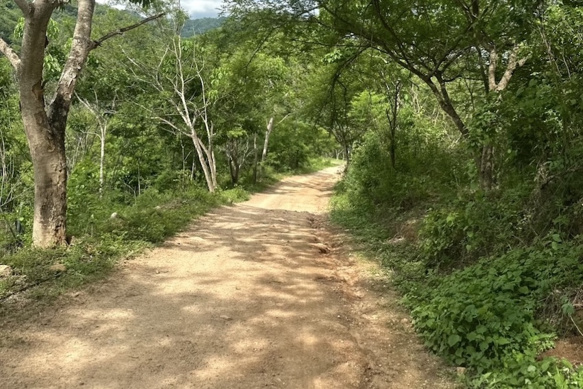 Un camino de tierra en las montañas de Jalisco