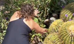 Ternura absoluta: mujer descubre una cría esponjosa a la sombra de un cactus
