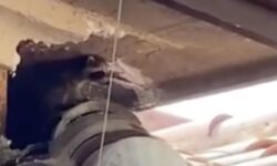 Una familia oyó ruidos en el ático y subió: el hallazgo más escalofriante