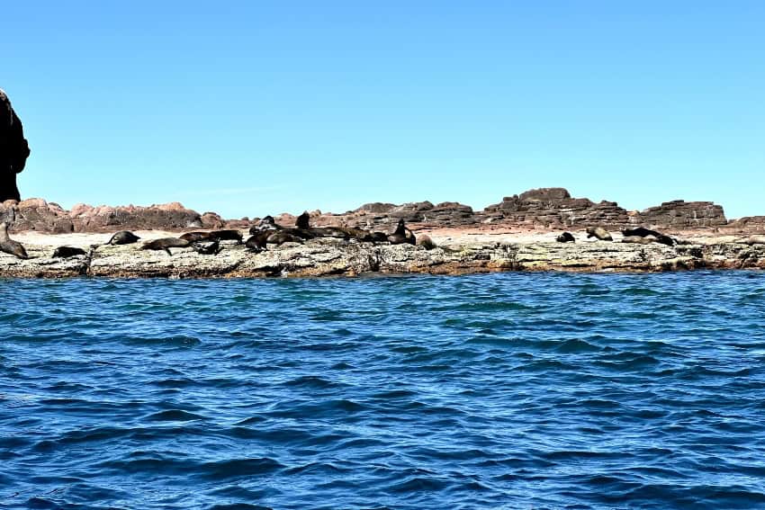 Espíritu Santo en México