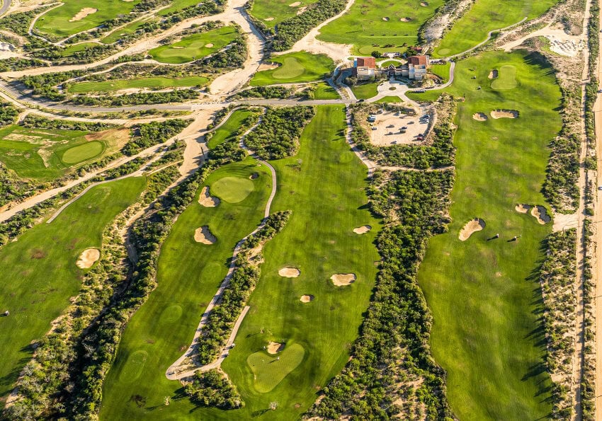 El Cardonal en Cabo San Lucas