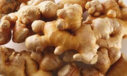 Jengibre italiano, la alternativa milla cero al rizoma exótico más querido (que también puedes cultivar)