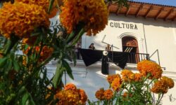 Resumen de la semana de México: el espectro de la intervención de Estados Unidos acecha tras un asesinato político de alto perfil