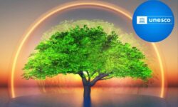 Reservas de la biosfera de la UNESCO: estas son las nuevas entradas para 2025 (y 6 están ubicadas en Europa)