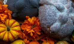 Que cocinar en noviembre