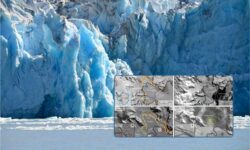 En la Antártida el glaciar Hektoria retrocede a una velocidad sin precedentes: 8 km en sólo dos meses