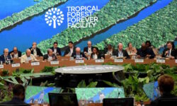 Acuerdo histórico para los bosques tropicales en la COP30: 5.500 millones de dólares para un fondo internacional sin precedentes