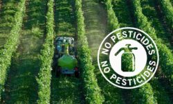 Pesticidas en Italia: las ventas han caído un 18% en 10 años (y lo ecológico crece con fuerza)