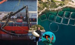 Fantasmas en el mar cristalino: el lado oscuro de Grecia. Lo que descubrimos durante esta misión de limpieza marina