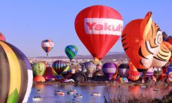 Resumen de la semana de México: el crimen organizado enfrenta la presión de las colaboraciones internacionales, mientras los homicidios y la actividad industrial disminuyen