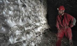 La telaraña más grande del mundo: dos especies de arañas crean una megaciudad subterránea