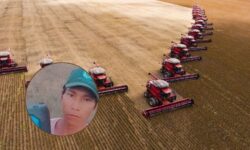 Un líder guaraní fue asesinado durante la “COP Indígena”, mientras avanza la deforestación en Brasil