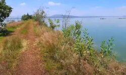 Continúa la recuperación del lago de Texcoco con más de 4.000 hectáreas bajo el agua