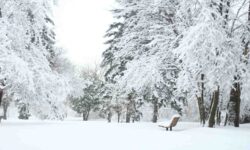 El brote ártico con nieve a baja altura llega a Italia: aquí es donde nevará