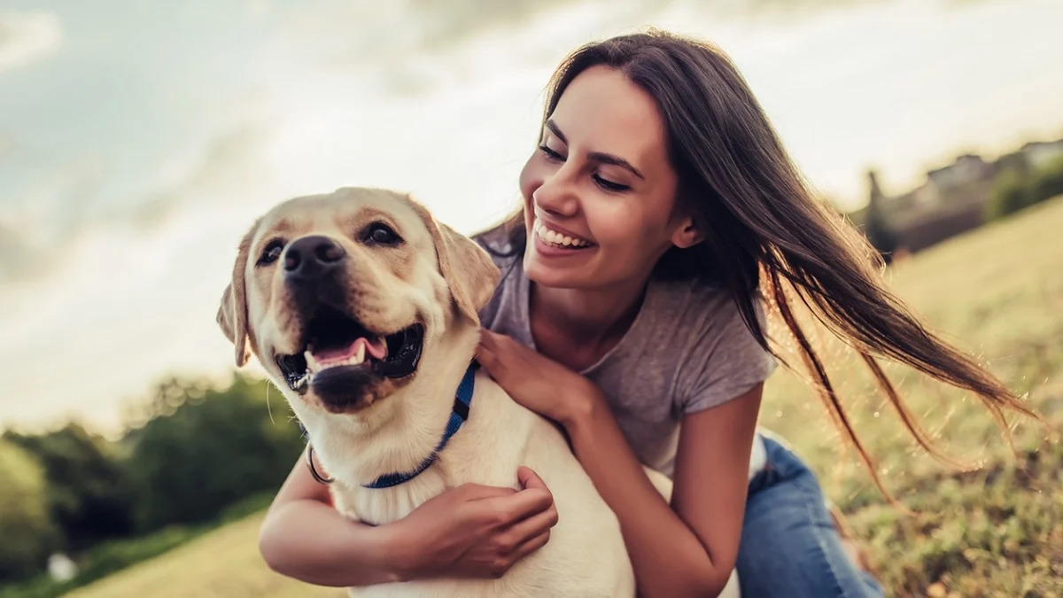 獣医師が警告：今、犬の飼い主の間に広がっているこの傾向は避けてください
