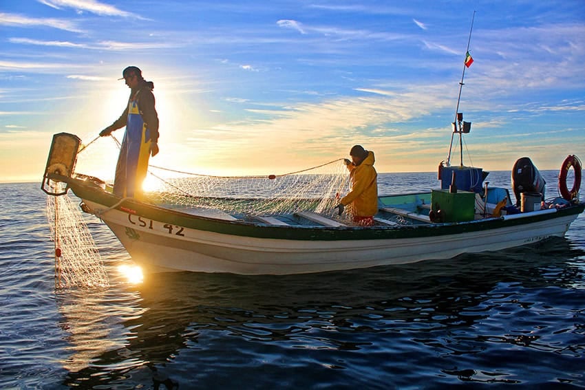 Pescadores artesanales en embarcación pequeña o panga.