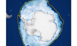 En la Antártida, el hielo marino alcanza el tercer pico invernal más bajo de la historia: las sombrías imágenes de satélite