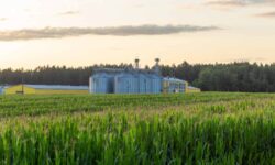 La Comisión de la UE presenta la nueva estrategia para la bioeconomía: 2.700 millones de euros y 17 millones de empleos