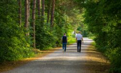 La verdad definitiva: la distancia exacta que debes caminar cada día para transformar tu cuerpo en tiempo récord