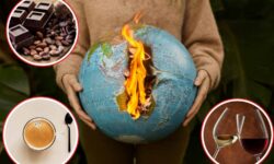 Vino, café y chocolate en riesgo: el clima no perdona ni siquiera nuestra comida reconfortante