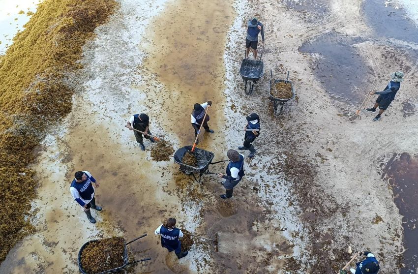 Hombres trabajando en algas frente a la costa.