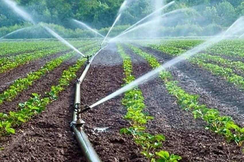 Escasez de agua México