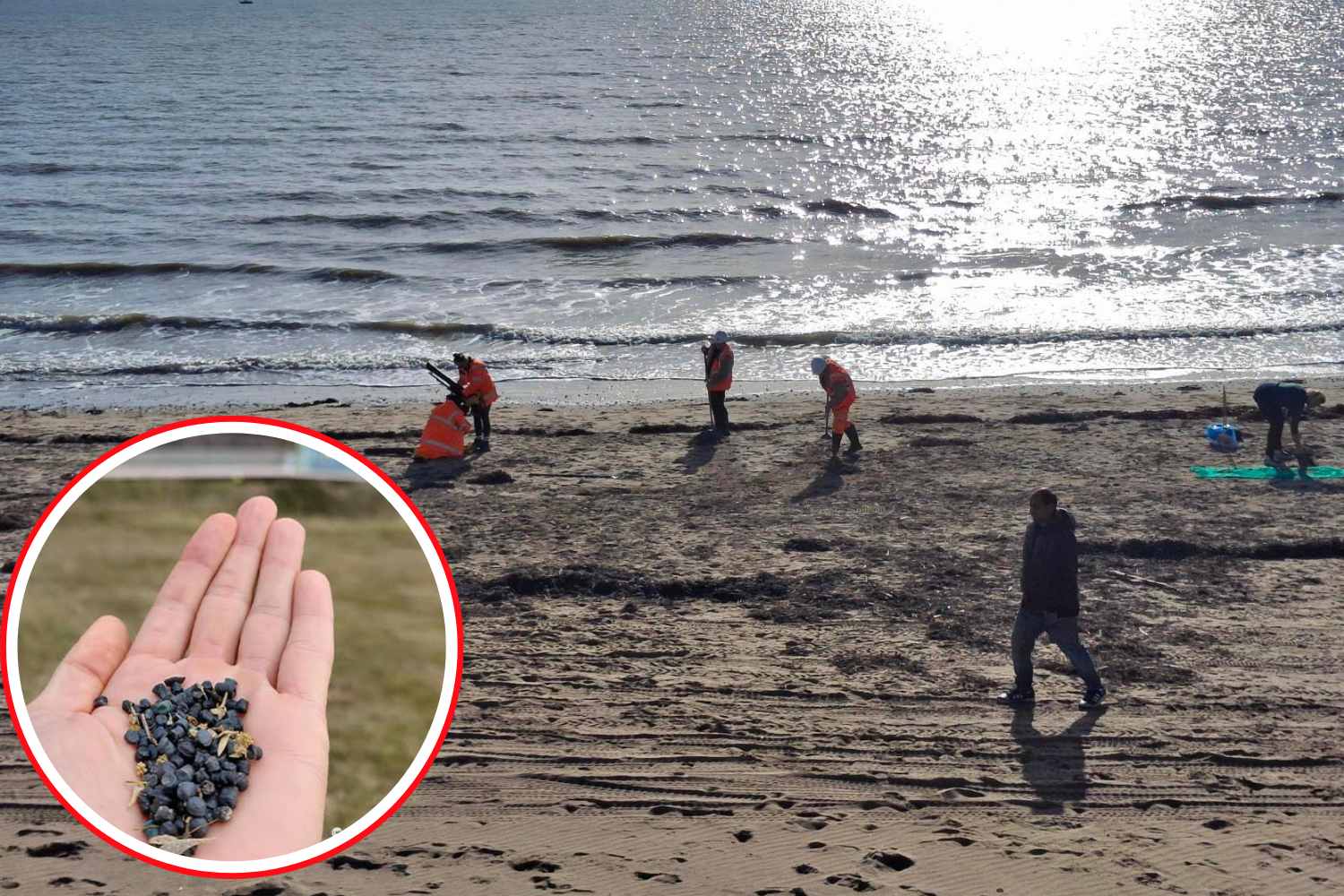 Esas "lágrimas negras" que envenenan las playas: 650 millones de microesferas de plástico han invadido East Sussex