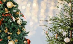 Árbol de Navidad natural o artificial: ¿cuál es más sostenible?