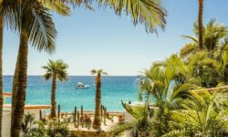 MND Local: Más vuelos, más vendedores de playa no autorizados y otras noticias de temporada de Los Cabos