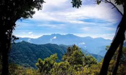 Camino Copalita de Oaxaca: trekking al estilo zapoteca