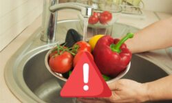 Demasiados pesticidas en el plato: el 48% de los alimentos procedentes de la agricultura convencional están contaminados con pesticidas