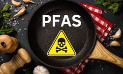 La industria de las PFAS acusada de manipular la definición de «contaminantes eternos»: los científicos dan la alarma