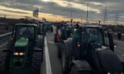 Los agricultores rebeldes bloquean Bruselas con tractores: qué está pasando y por qué nos preocupa también a nosotros