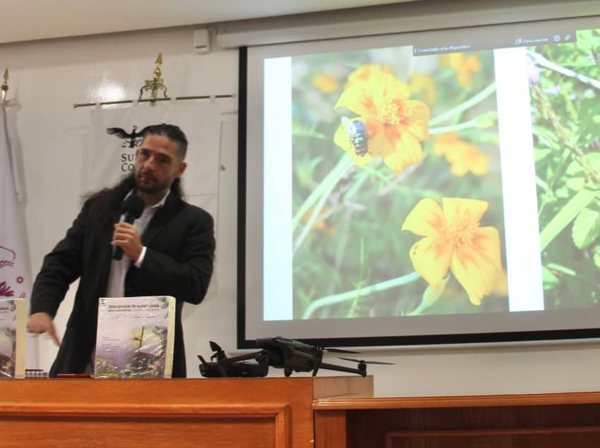 Crisis de desaparecidos