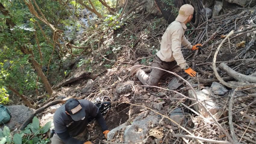 Buscando a los desaparecidos