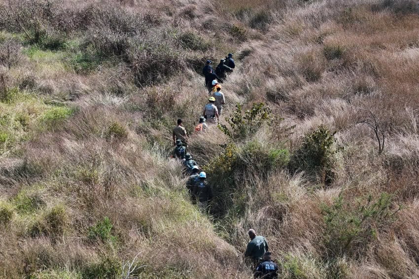 Leyendo la Tierra: Cómo los científicos mexicanos están utilizando plantas, insectos y suelo para encontrar a los desaparecidos