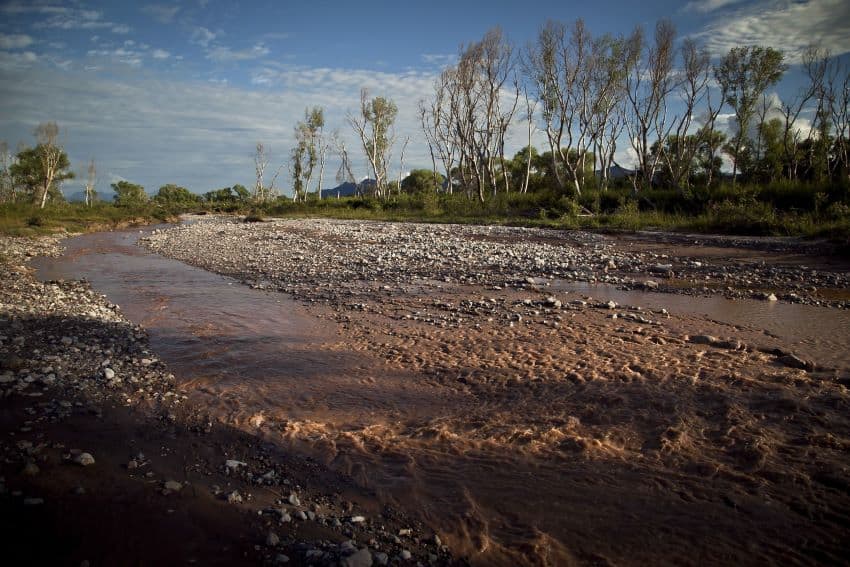 El río Sonora se volvió de color naranja rojizo después de que una empresa minera propiedad del Grupo México derramó desechos peligrosos en el río.