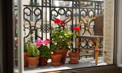 Esta planta que crece por toda Andalucía podría convertirse en un remedio natural según un estudio reciente