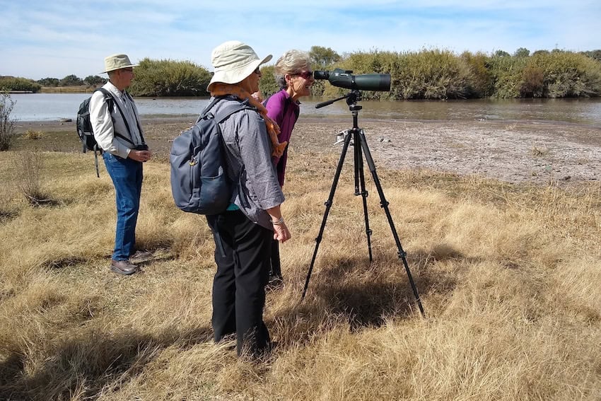 Observadores de aves de Audobon México en San Miguel de Allende
