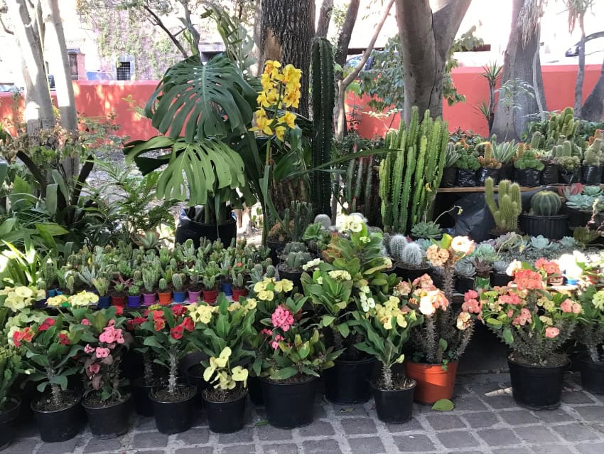 feria de la candelaria