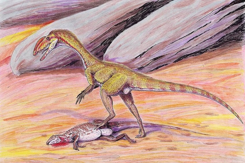 dinosaurio megapnosaurio