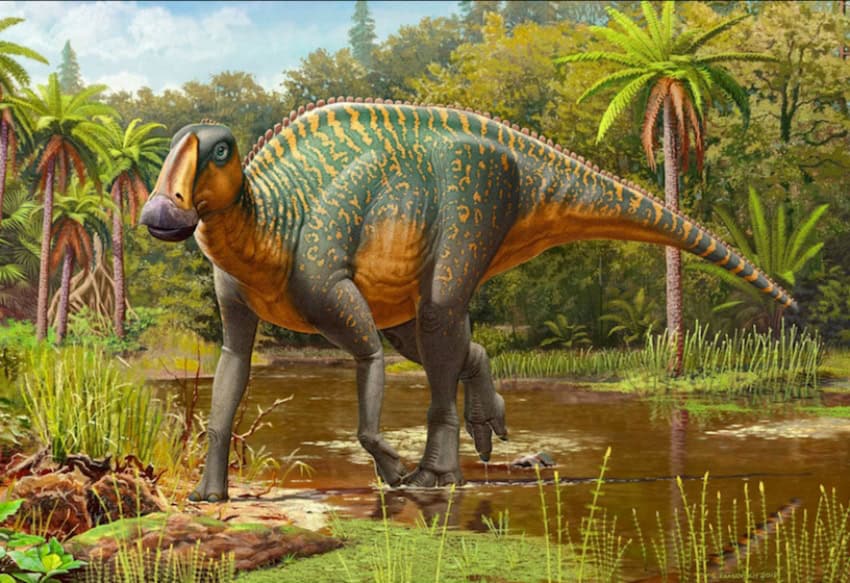 dinosaurio kritosaurio