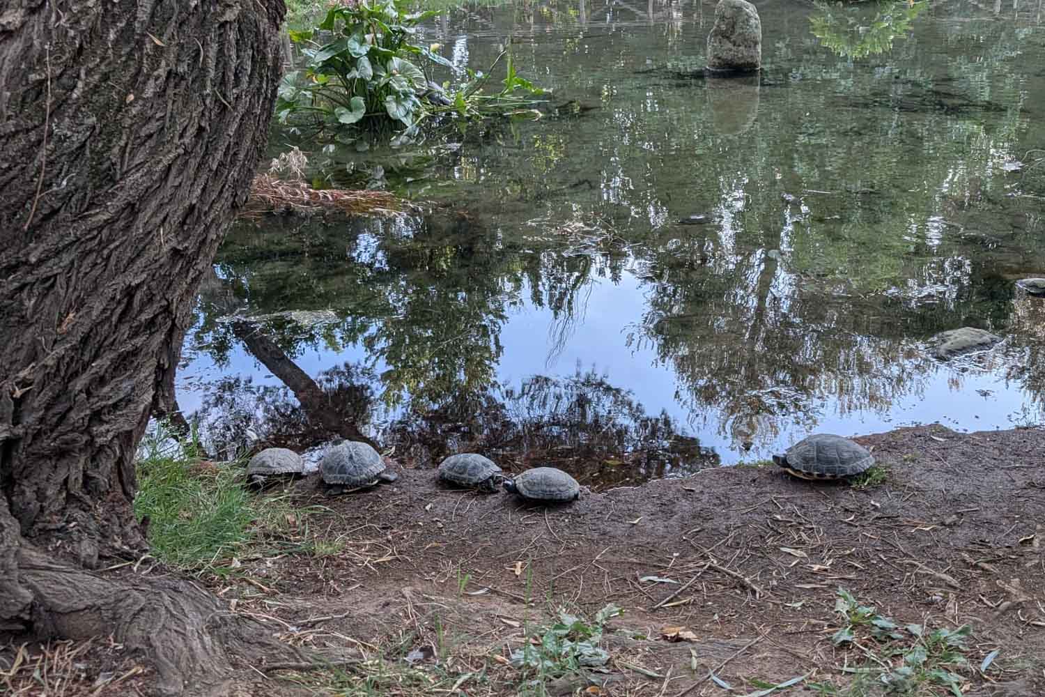 Roma, estanque Parco degli Acquedotti