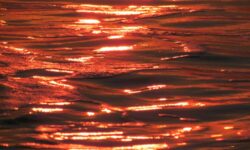 Los océanos están hirviendo: olas de calor récord nos exponen a desastres climáticos