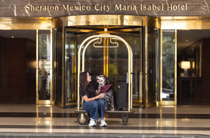 Sheraton Ciudad de México mascotas