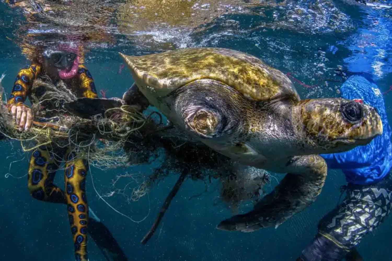 James Ferrara Antropoceno