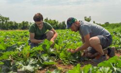 NaturaSì lanza la campaña sobre el «precio justo de los alimentos»: cuánto valen realmente los servicios ecosistémicos de los agricultores orgánicos