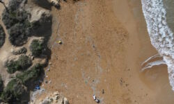 El Mediterráneo es el mar más contaminado por microplásticos (y estos científicos italianos intentarán predecir su futuro)