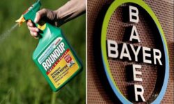 Glifosato cancerígeno: Bayer propone un acuerdo de 7.250 millones de dólares para resolver demandas en Estados Unidos
