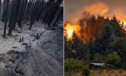 La Patagonia arde implacablemente, más de 40 mil hectáreas de bosques en humo: ¿por qué el desastre se repite cada año?